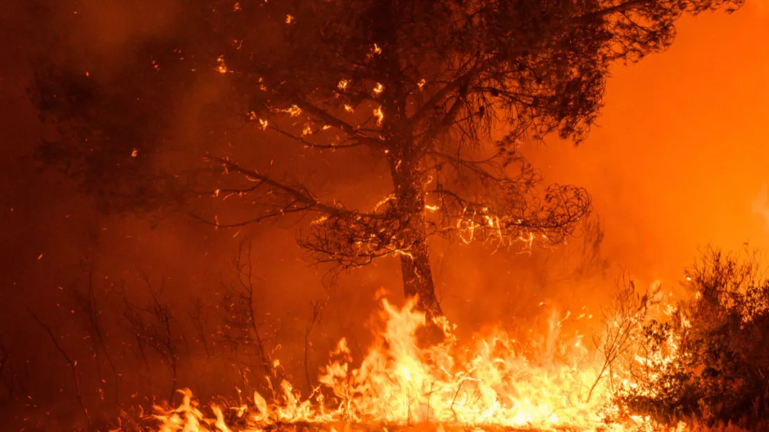 2,6 millions d'euros d'aides pour équiper le Puy-de-Dôme contre les feux de forêt