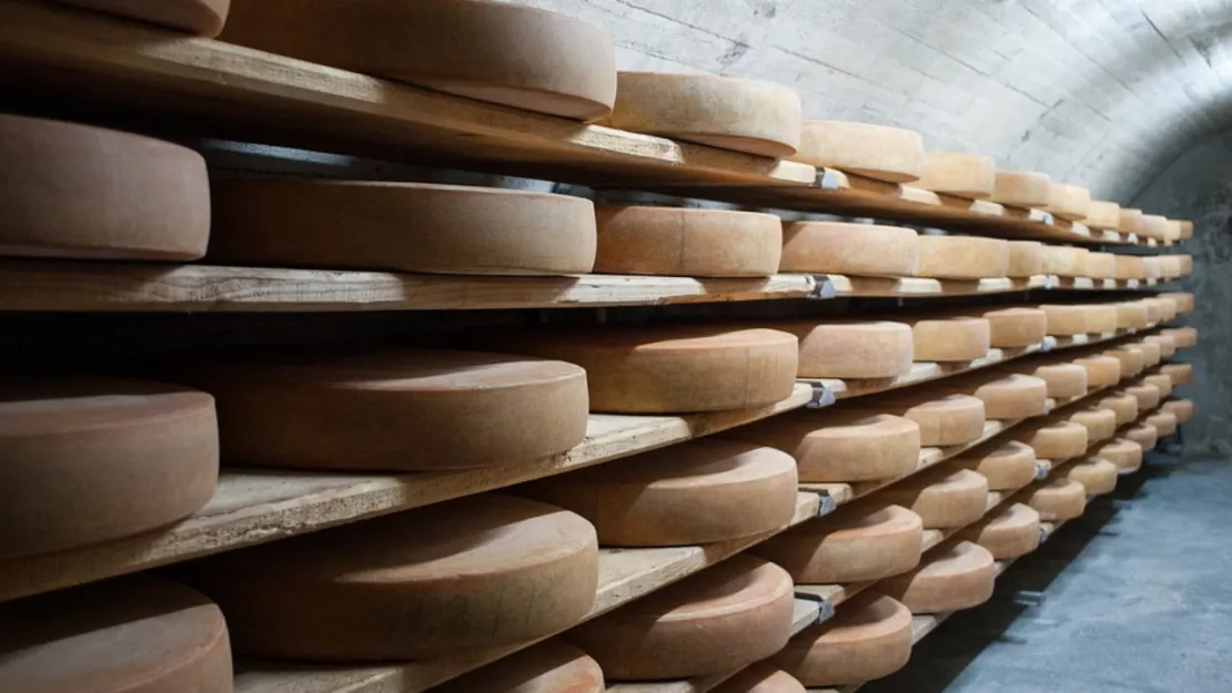 Deux nouveaux fromages auvergnats ont été créés !