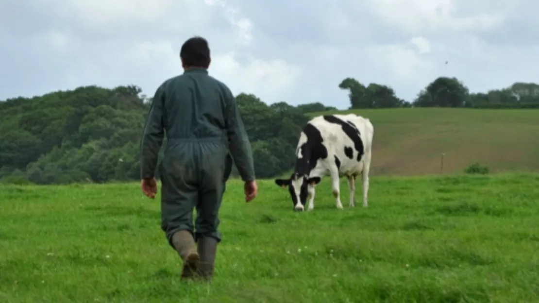 Salaires : Les retraites des agriculteurs seront revalorisées dès 2026