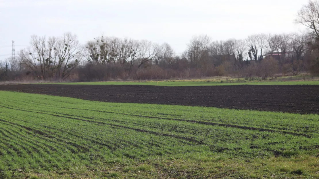 Sécheresse : 44 communes de l'Allier reconnues en état de catastrophe naturelle