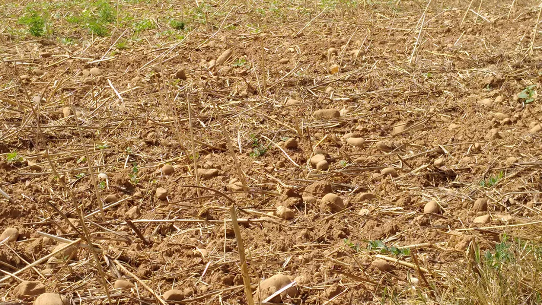 Sécheresse et inondations : l'état de catastrophe naturelle reconnu pour cinq communes du Puy-de-Dôme