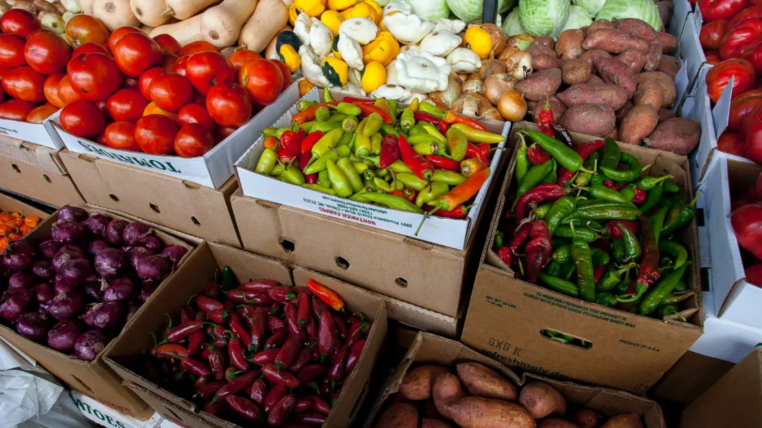 Un magasin de producteurs ouvre ses portes en Auvergne