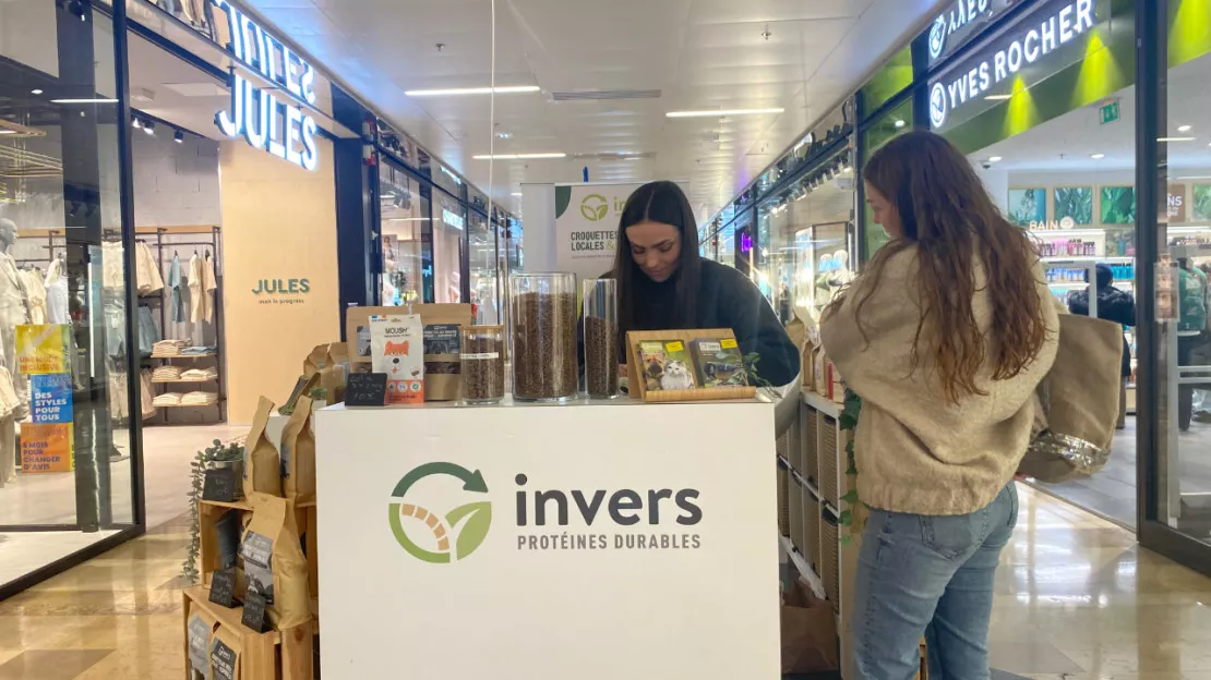 Au Centre Jaude, une boutique éphémère dédiée à des croquettes fabriquées avec des vers de farine