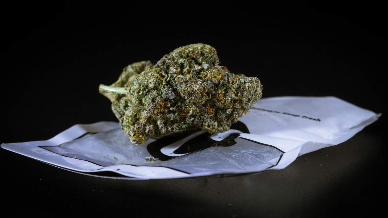 Châtel-Guyon (63) : deux individus arrêtés avec plus d'un kilo de résine de canabis