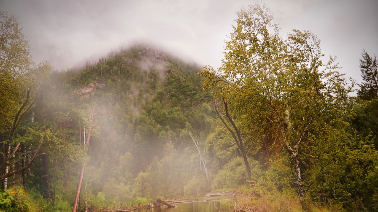 Coupure d'électricité, chutes d'arbres... Le passage remarqué de la tempête Domingos en Auvergne