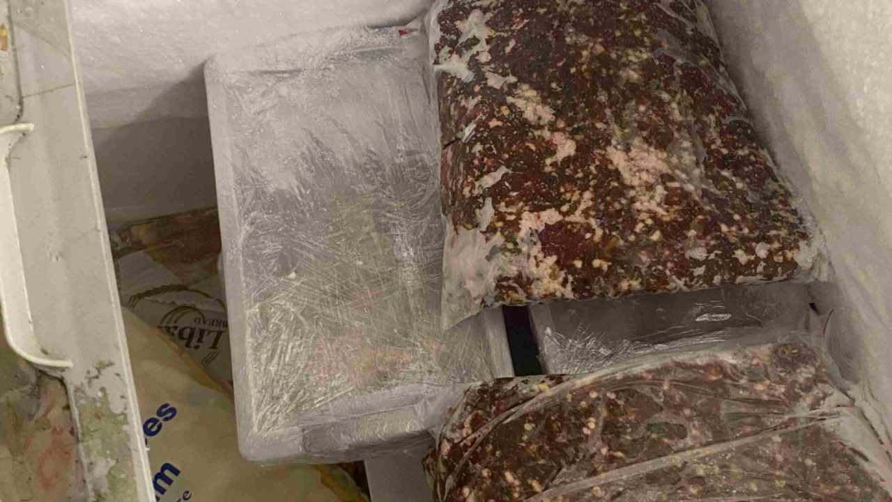 L'hygiène y était déplorable : un kebab de Clermont-Ferrand fermé immédiatement par la préfecture