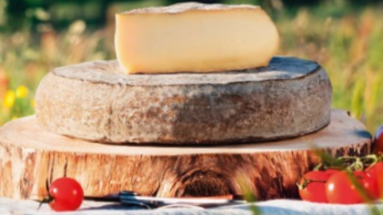 Le Saint-Nectaire célèbre les 70 ans de son AOP Le Saint-Nectaire célèbre les 70 ans de son AOP