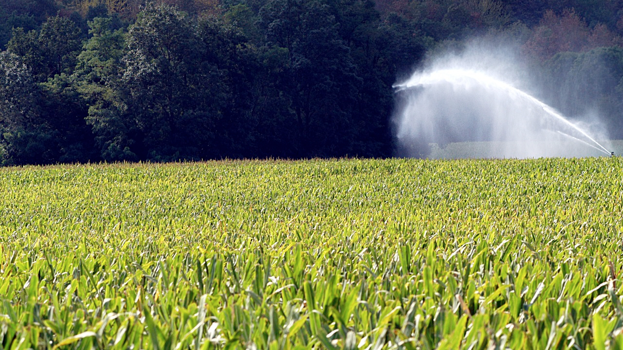 Puy-de-Dôme : le préfet renforce les mesures de restriction d’eau