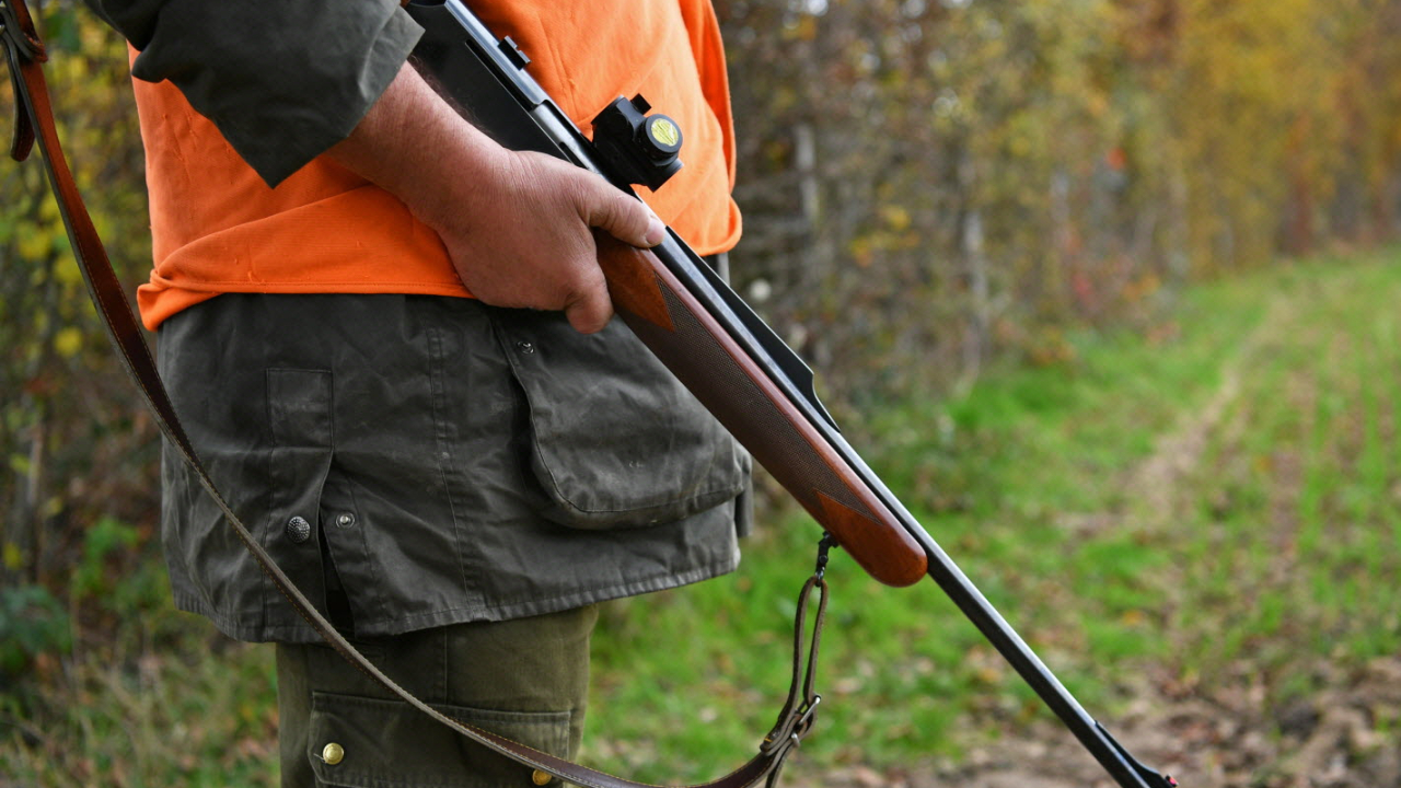Puy-de-Dôme : Un accident de chasse survient lors d’une battue aux sangliers