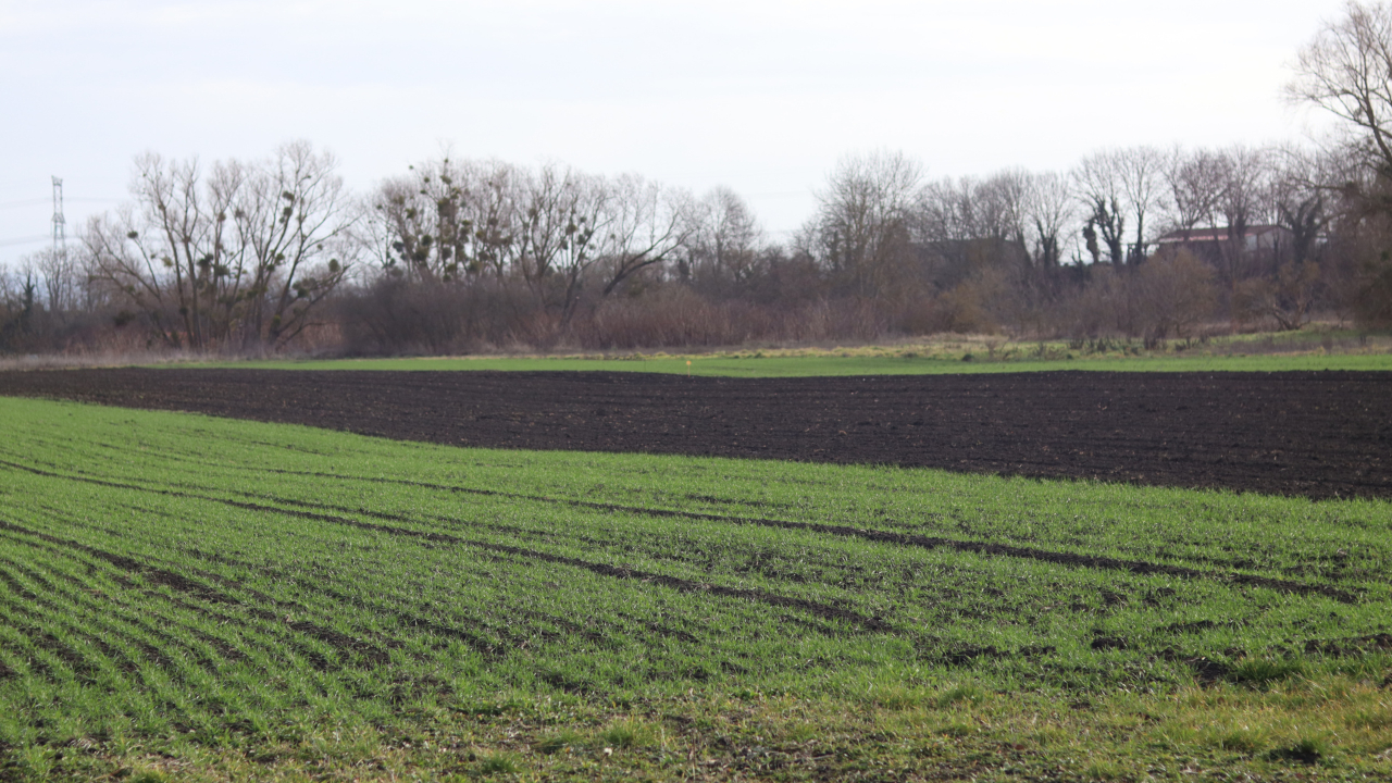 Sécheresse : 44 communes de l'Allier reconnues en état de catastrophe naturelle Sécheresse : 44 communes de l'Allier reconnues en état de catastrophe naturelle