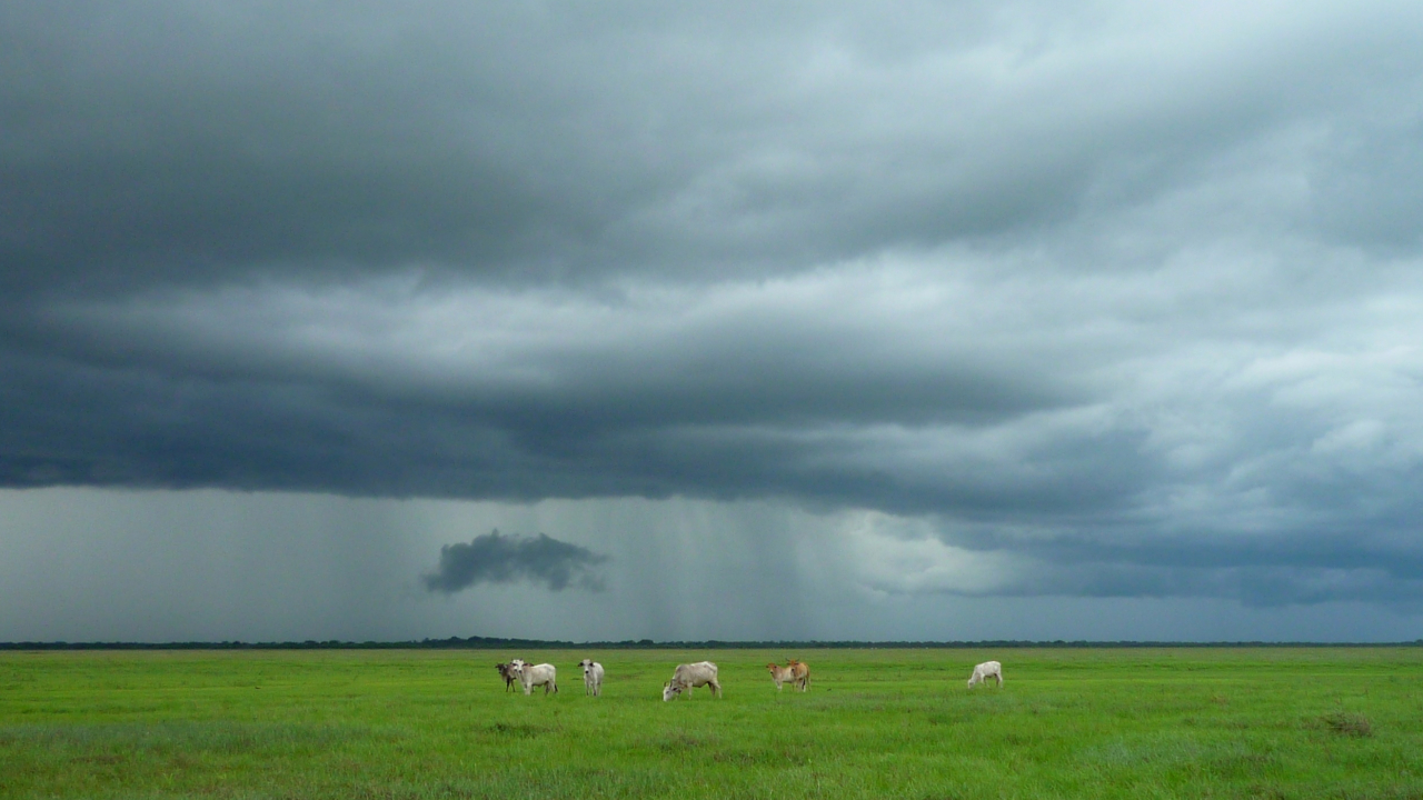 Tempête Benjamin : des rafales à 170 km/h mesurées dans le Puy-de-Dôme