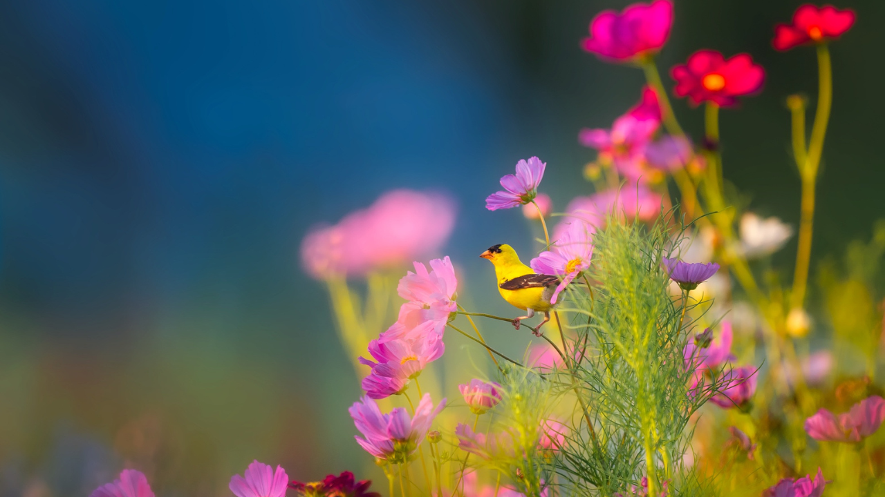 Vacances scolaires : les activités printanières à ne pas louper en Auvergne !